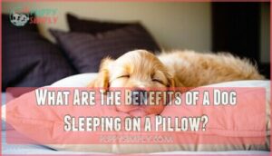 what are the benefits of a dog sleeping on a pillow