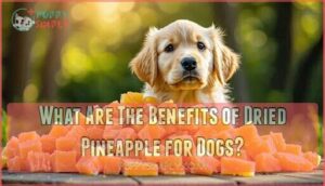what are the benefits of dried pineapple for dogs