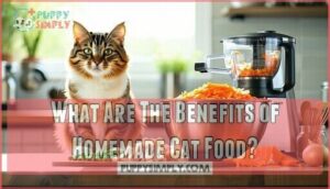 what are the benefits of homemade cat food