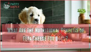 what are the nutritional benefits of feta cheese for dogs