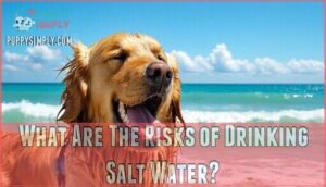 what are the risks of drinking salt water