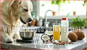 what can dogs drink besides water