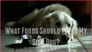 what foods should i feed my sick dog