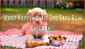 what happens if a dog eats raw chicken