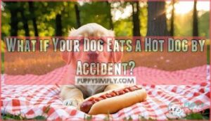 what if your dog eats a hot dog by accident