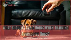 what should i avoid doing when training aggressive dogs
