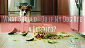 what should i do if my dog ate a burrito