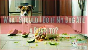 what should i do if my dog ate a burrito what should i do if my dog ate a burrito