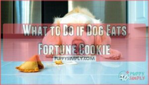 what to do if dog eats fortune cookie