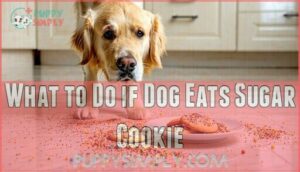 what to do if dog eats sugar cookie