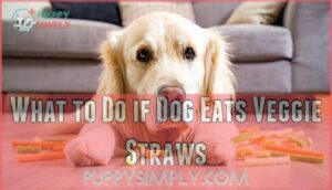 what to do if dog eats veggie straws