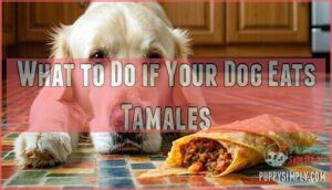 what to do if your dog eats tamales