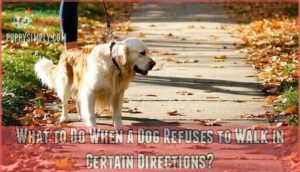 what to do when a dog refuses to walk in certain directions