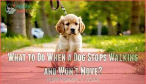 what to do when a dog stops walking and won’t move