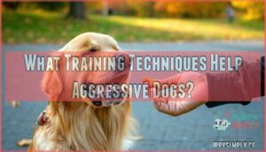what training techniques help aggressive dogs
