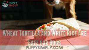 wheat tortilla and white rice are safe for dogs
