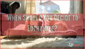 when should you decide to euthanize