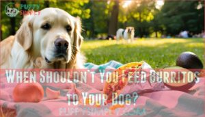 when shouldn’t you feed burritos to your dog
