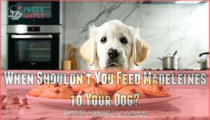 when shouldn’t you feed madeleines to your dog