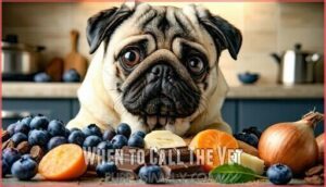 when to call the vet