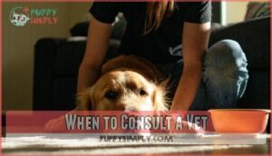 when to consult a vet