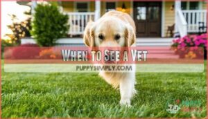 when to see a vet