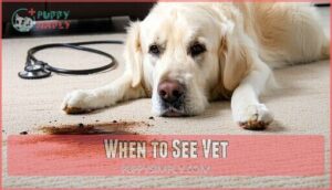 when to see vet