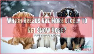 which breeds are more likely to get snow nose