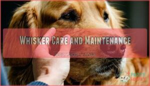 whisker care and maintenance