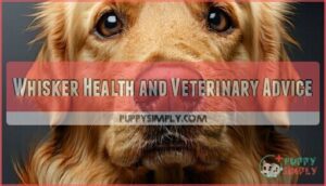 whisker health and veterinary advice