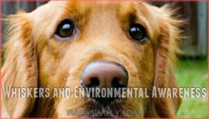 whiskers and environmental awareness