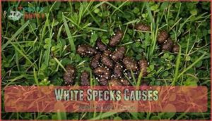 white specks causes