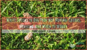white specks in dog poop not moving not worms white specks in dog poop not moving not worms