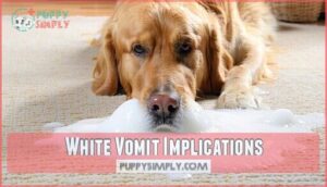 white vomit implications