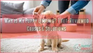 why is my puppy limping