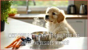 why would you want to give your dog something besides water