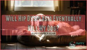 will hip dysplasia eventually kill my dog