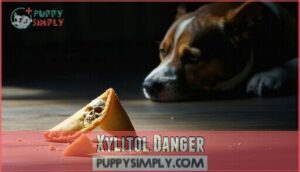 xylitol danger