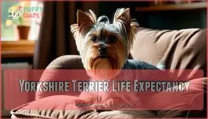 yorkshire terrier life expectancy