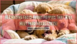 10 amazing facts about puppies