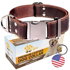 ADITYNA   Leather Dog Collar B0B2PMMLL9