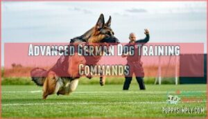 advanced german dog training commands