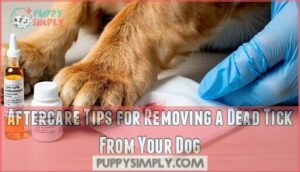 aftercare tips for removing a dead tick from your dog