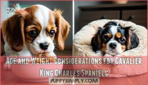 age and weight considerations for cavalier king charles spaniels