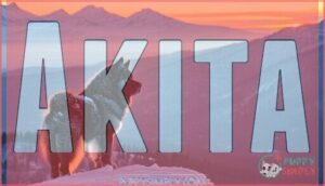 akita