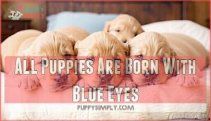 all puppies are born with blue eyes