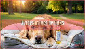 alternatives options