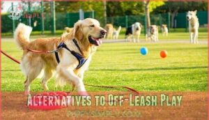 alternatives to off-leash play