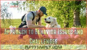 approach to behavior issues and challenges