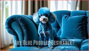 are blue poodles desirable